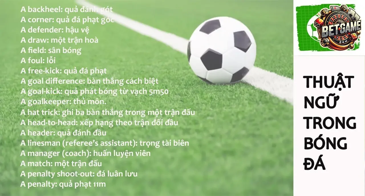 Các Thuật Ngữ Cơ Bản