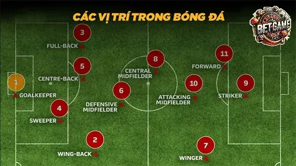 Các khái niệm liên quan đến trận đấu (Match-related Concepts)
